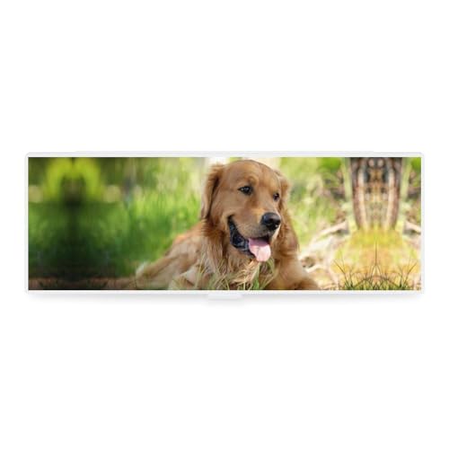 Cmagnifico Federmäppchen, Motiv: Golden Retriever, kreative einfache Schreibwaren-Box, 19,5 x 6,8 x 3 cm, Stil:, Einheitsgröße, Federmäppchen von Cmagnifico