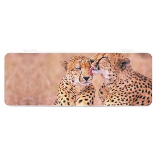 Cmagnifico Federmäppchen, kreative einfache Schreibwaren-Box, 19,5 x 7,1 x 2,7 cm, Stil:, Einheitsgröße, Federmäppchen von Cmagnifico