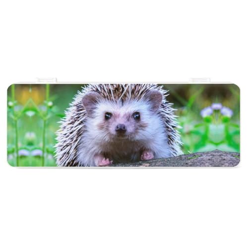 Cmagnifico Federmäppchen, niedlicher kleiner Igel, kreative einfache Schreibwaren-Box, 19,5 x 7,1 x 2,7 cm, Stil:, Einheitsgröße, Federmäppchen von Cmagnifico