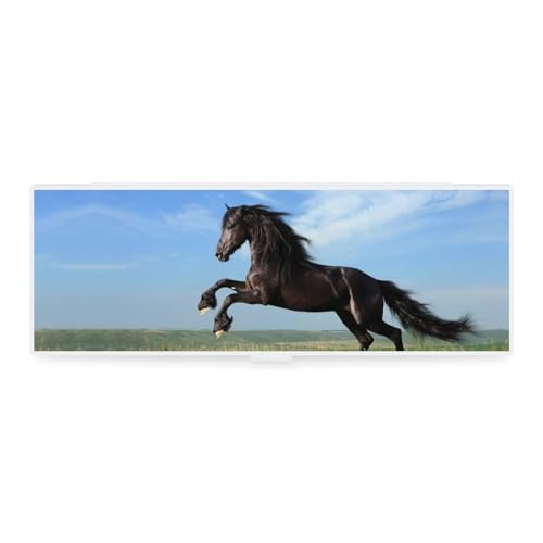 Cmagnifico Federmäppchen, schwarzes Pferd, kreative einfache Schreibwaren-Box, 19,5 x 6,8 x 3 cm, Stil:, Einheitsgröße, Federmäppchen von Cmagnifico