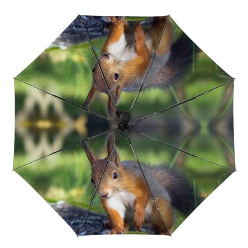 Cmagnifico Regenschirm, niedlicher Eichhörnchen-Regenschirm, automatisches Öffnen, 3-fach gefalteter Regenschirm für Damen und Herren, Süßes Eichhörnchen, Einheitsgröße von Cmagnifico