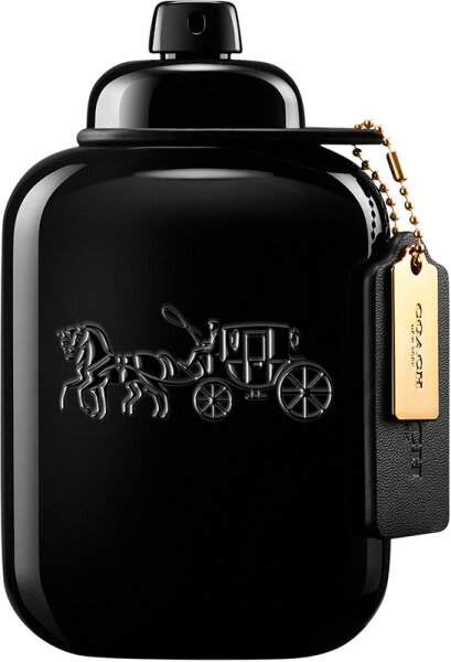 Coach For Men Eau de Parfum (EdP) 100 ml von Coach