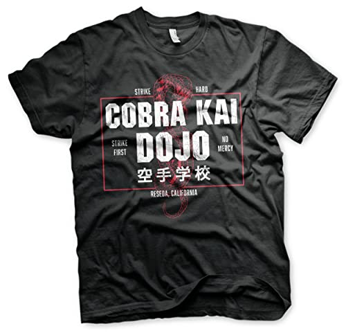 Cobra Kai Offizielles Lizenzprodukt Dojo Herren T-Shirt (Schwarz), Large von Cobra Kai