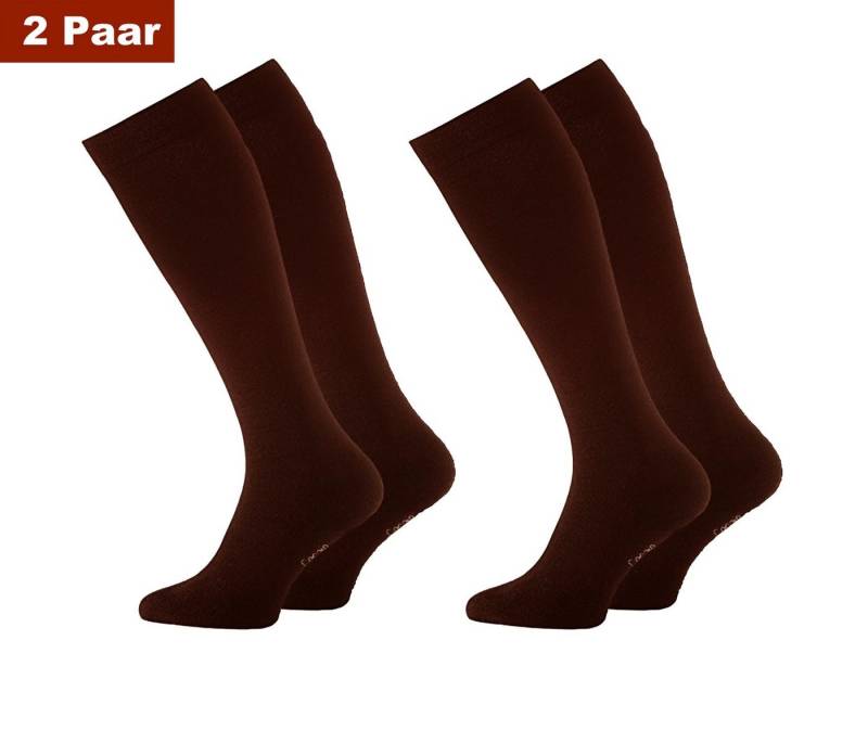 Cocain underwear Kompressionsstrümpfe Reisekniestrümpfe Gesundheitsstrümpfe Stützfunktion Kompressionseffekt (2-Paar) beschleunigt die Durchblutung von Cocain underwear