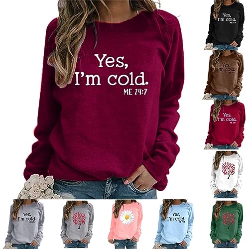 Cocila Damen Pullover Lässige Longshirt Große Größen Sport Tops Elegant Bluse Locker Langarmshirt Tunika Lang T Shirt Bequeme Sexy Oberteile Teenager Mädchen Top von Cocila