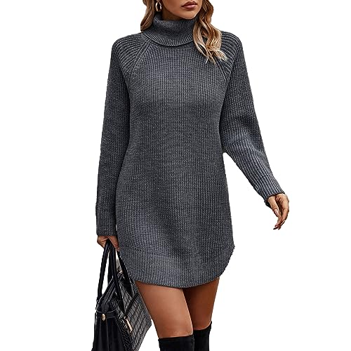 Cocoarm Herbst Winter Damen Strickkleid Stehkragen Pulloverkleid Lange Ärmel Reine Farbe Einteiliger Pullover (S) von Cocoarm