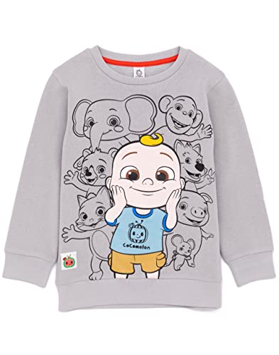 CoComelon Sweatshirt Kinder Babys Babys Kleinkinder Tierfiguren Grau Jumper 12-18 Monate von CoComelon