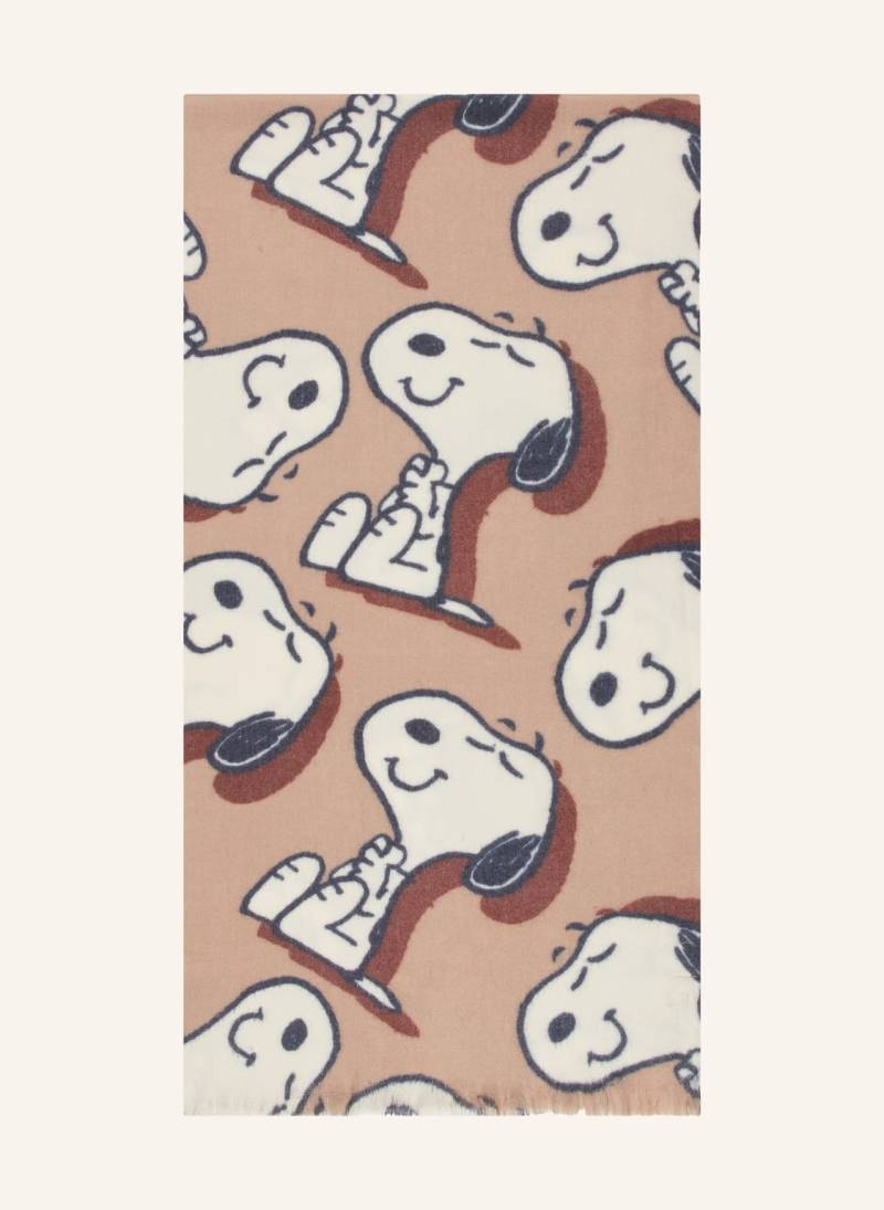 Codello Schal braun von Codello