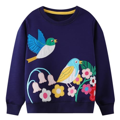 Codkkre Sweatshirt Mädchen Pullover für Kinder Süß Cartoon Sweater Mädchen Langarmshirts aus Baumwolle Alter 2-7 Jahre, 110, Stil 9 von Codkkre