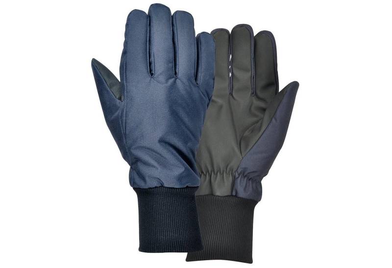 Cofra Winter-Arbeitshandschuhe (1-St) EN 511:2006 von Cofra