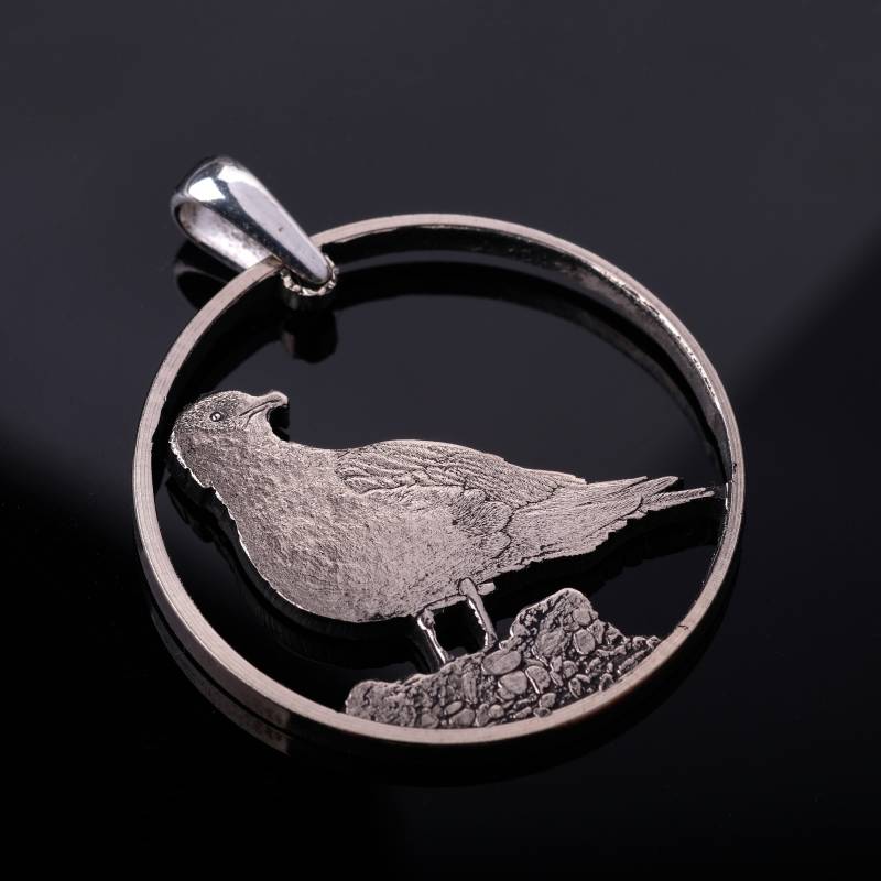Vogel | Stercorarius Parasiticus Anhänger & Halskette Shetland-Inseln Cut Coin von CoinsJeweller