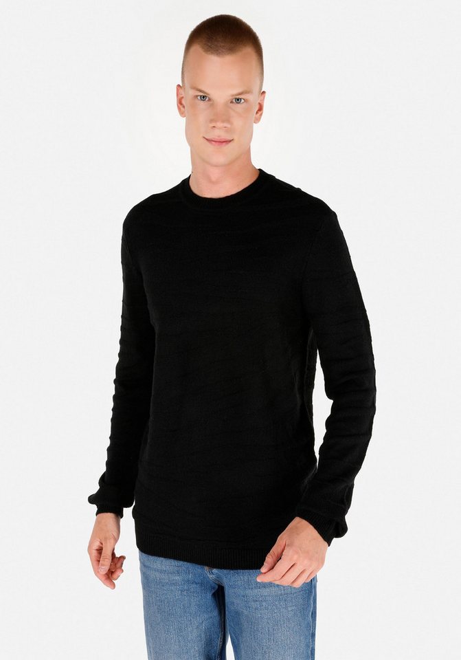Colins Streifenpullover Colins Regular Fit Rundhals-Jacquard-Herrenpullover Colins Streifenpullover Colins Regular Fit Rundhals-Jacquard-Herrenpullover von Colins