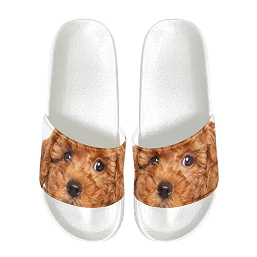 Coloranimal Cute Pet Dog Slipper für Frauen Männer Soft Comfy Slides Light Weight Sandal Beach Flip Flop Schuhe EU 37 von Coloranimal
