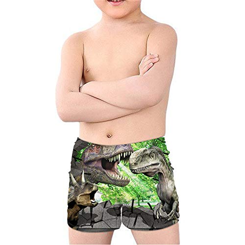 Coloranimal Teen Boy Cool Animal T-Rex Dinosaurier Badehose Batjing Anzug Beach Board Shorts Swinwear Quick Dry 5-14Y Gr. 5-6 Jahre, Dinosaurier 03 von Coloranimal