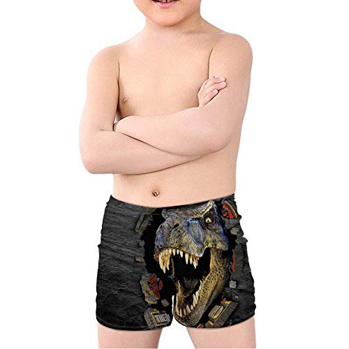 Coloranimal Badehose für Teenager, Jungen, T-Rex, Dinosaurier, Fledermausanzug, Strand-Shorts, schnelltrocknend, Gr. 38-40, T-rex Dinosaurier 01, 5-6 Jahre von Coloranimal