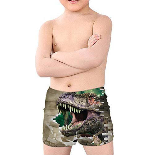 Coloranimal Teen Boy Cool Animal T-Rex Dinosaurier Badehose Batjing Anzug Beach Board Shorts Swinwear Quick Dry 5-14Y Gr. 7-8 Jahre, T-rex Dinosaurier 03 von Coloranimal