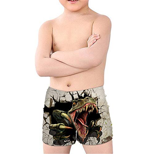 Coloranimal Teenager Boy Cool Animal T-Rex Dinosaurier Badehose Batjing Anzug Strand Board Shorts Swinwear Quick Dry 5-14Y, Dinosaurier 04, 11-12 Jahre von Coloranimal