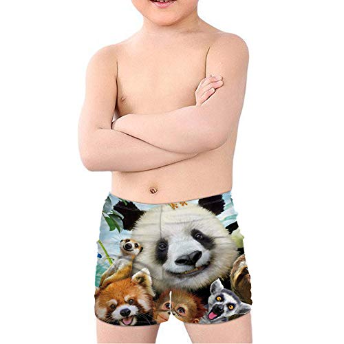 Coloranimal Teenager Boy Cool Animal T-Rex Dinosaurier Badehose Batjing Anzug Strand Board Shorts Swinwear Quick Dry 5-14Y, Tier Panda Hund, 9-10 Jahre von Coloranimal