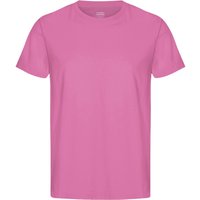 Colorful Standard T-Shirt aus softer vorgewaschener Bio-Baumwolle in XL Colorful Standard T-Shirt aus softer vorgewaschener Bio-Baumwolle in XL von Colorful Standard