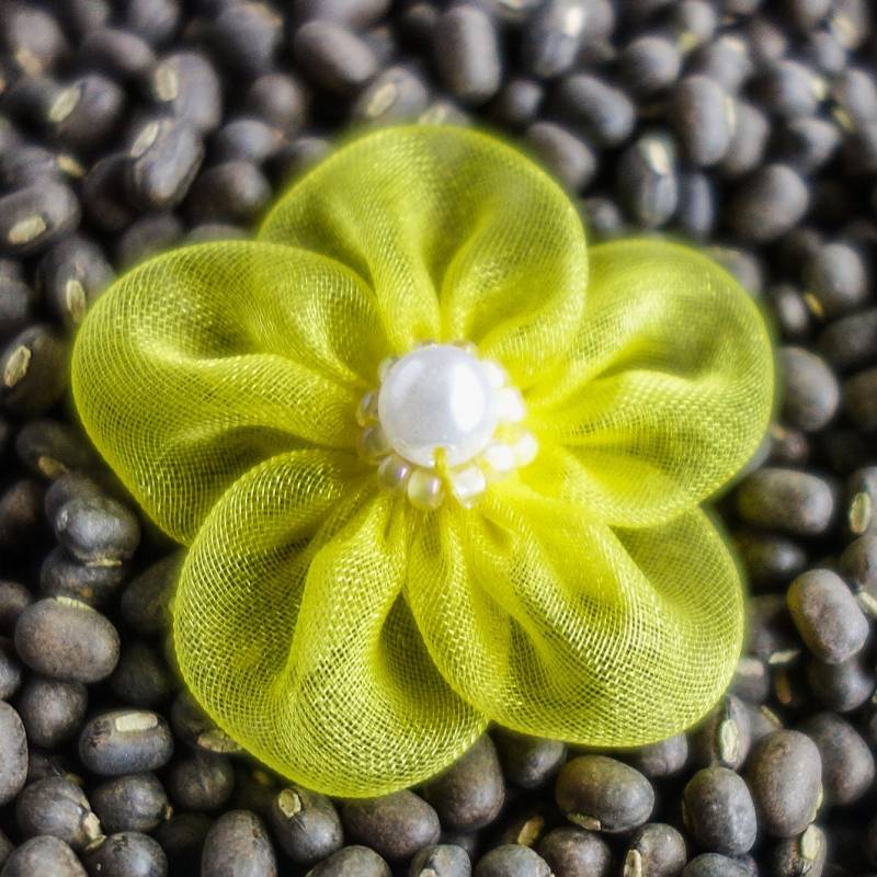Kleine Schiere Hell-Farbigen Gesammelt Bandblumen Mit Perlen Zentren Gelb Kleine Schiere Hell-Farbigen Gesammelt Bandblumen Mit Perlen Zentren Gelb von ColourCocoon