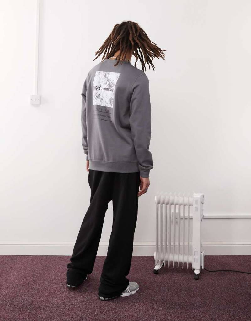 Columbia - Barton Springs - Sweatshirt in Grau mit Rundhalsausschnitt von Columbia