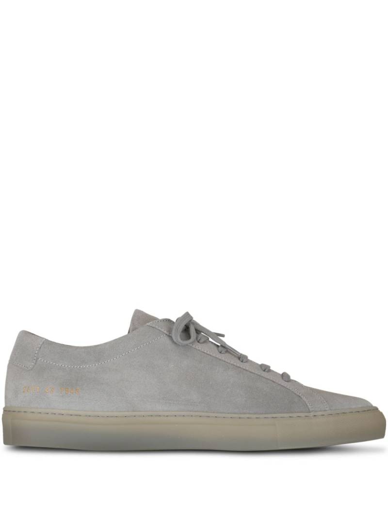 Common Projects Sneakers mit Schnürung - Grau von Common Projects