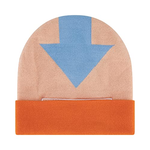 Avatar The Last Airbender Beanie-Mütze, Aang Knit Roll Down Cuffed Winter Cap, Multi, Mehrfarbig/Meereswellen (Ocean Tides), Einheitsgröße von Concept One