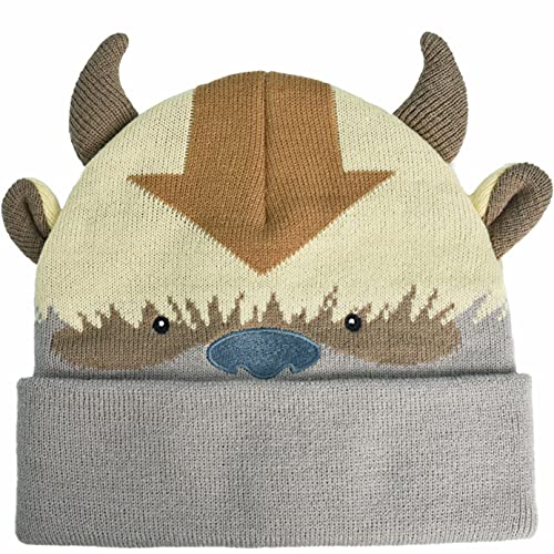 Concept One Unisex-Erwachsene Avatar The Last Airbender Appa Strickmütze aus Acryl mit Manschette Beanie-Mütze, Multi, Einheitsgröße von Concept One