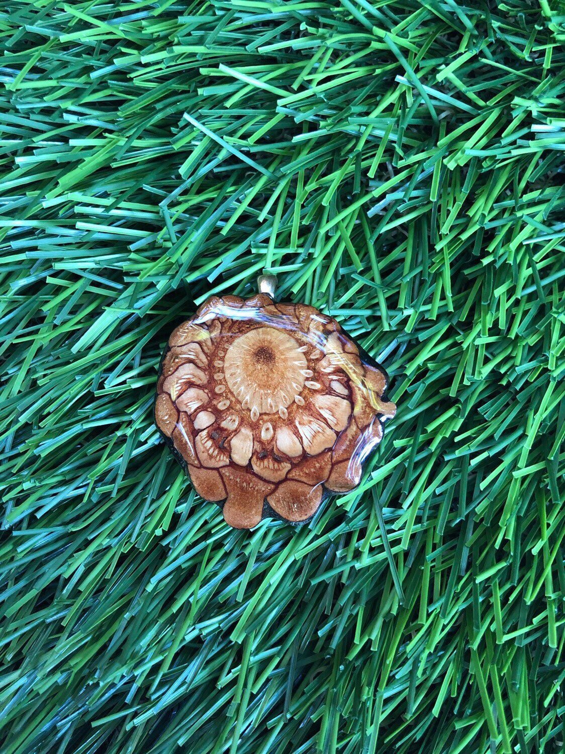 Natürliche Getreide Pinecone Anhänger Natürliche Getreide Pinecone Anhänger von ConeCentric