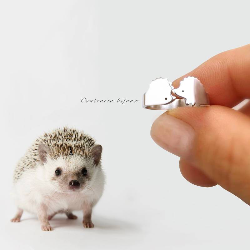 Riccio Verliebt Sich von ContrariaBijoux