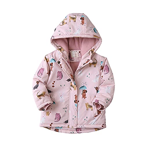 Cool&D Mädchen Winterjacke Kinder Wintermantel Steppjacke Baumwollgefuetterte Jacke mit Kapuze(Rosa,120-130cm) von Cool&D