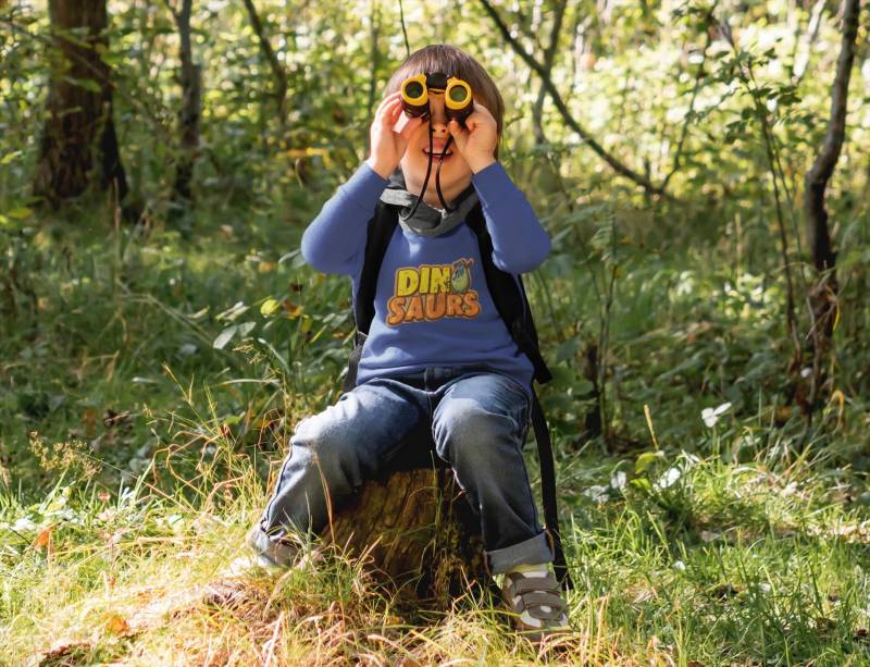 Cartoon Dino Schlüpft Aus Ei Kinder Pullover Sweatshirt Bio Baumwolle Hochwertig Langlebig - Mini Changer 2.0 St/St Sh von CoolKidsBeWild