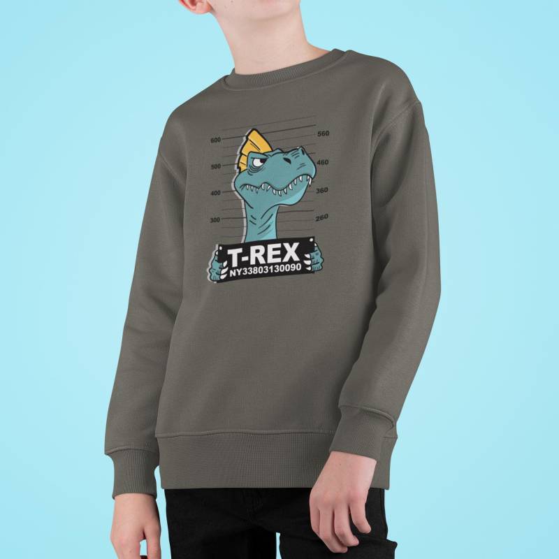 Cartoon Dino T-Rex Verbrecherfoto Kinder Pullover Sweatshirt Bio Baumwolle Hochwertig Langlebig - Mini Changer 2.0 St/St Sh von CoolKidsBeWild
