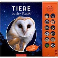 COPPENRATH Tiere in der Nacht - Mit 12 echten Tierstimmen (Soundbuch) von Coppenrath