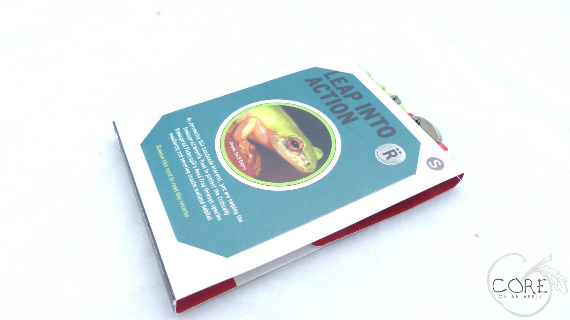 Relate Armband "Pickersgill's Reed Frog" von CoreOfAnApple