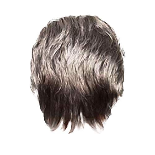 Fashion Party Straight Lace Handsome Wigs No For Daily Front Gentlemen Classic Perücke Haarhaube Für Nacht Locken von Corlidea