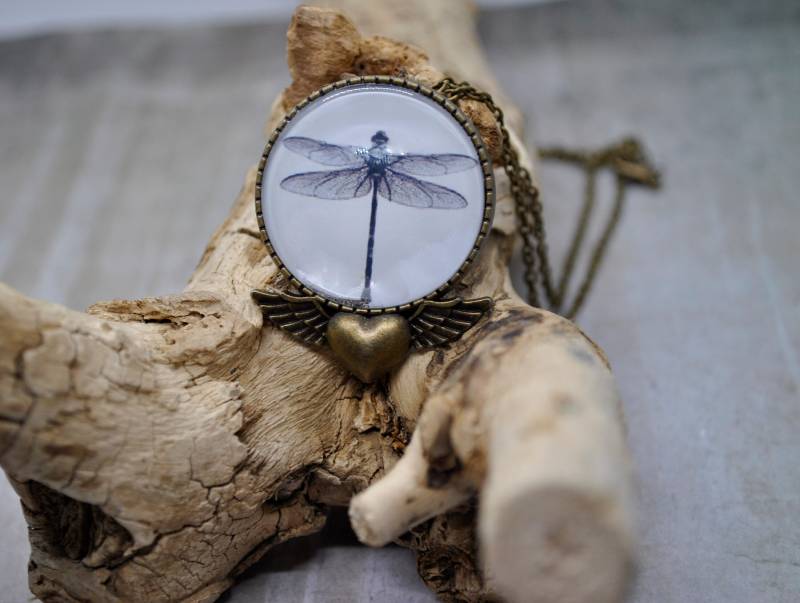 Kette Und Brosche Mit Libelle, Cabochon Schmuck, 2 in 1 Anhänger von CorvusLuna