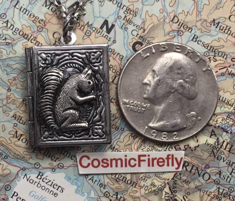 Kleines Eichhörnchen-Buch Locket Halskette Antiqued Silber-Ton-Metall Crafty Kostüm Schmuck Free Geschenk-Box von CosmicFirefly