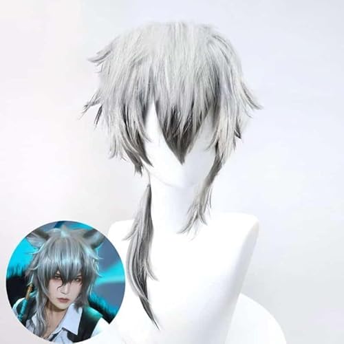 Arknights SilverAsh Cosplay Wig, ears and wig, 40 von CosplayHero