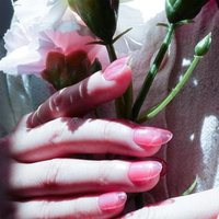 Cosplus - 0121 Nail Gel Polish Bright Collection 202 Pink 8ml Cosplus - 0121 Nail Gel Polish Bright Collection 202 Pink 8ml von Cosplus