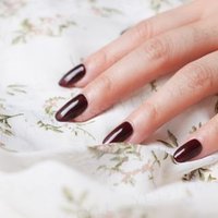 Cosplus - 0121 Nail Gel Polish Morandi Collection 2 512 Dark Chocolate 8ml von Cosplus