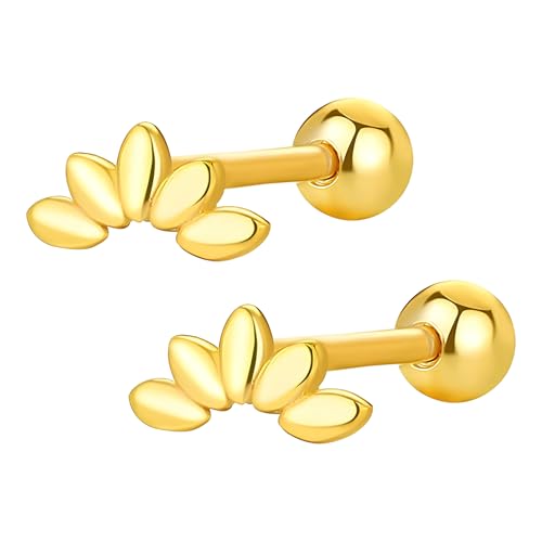 Kletter ohrstecker Climber Stud Ohrringe Tragus Piercing Ohrringe Damen 925 Silber Gold Kletter Ohrstecker Fadenloser Knorpel Tragus Conch Piercing Helix Ohrstecker für Mädchen Frauen von Cosswe