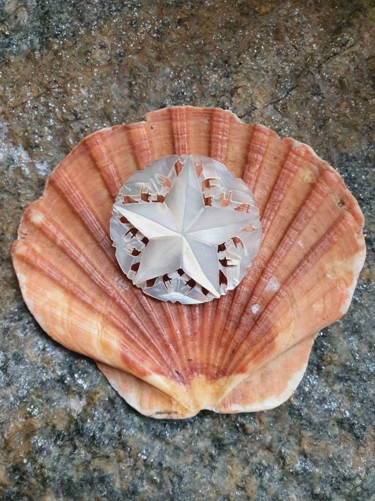 Geschnitzte Vintage Brosche Aus Perlmutt, Bethlehem von CostumeLoveRealities