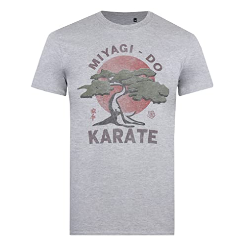 Cotton Soul Cobra Kai Miyagi Do Herren T-Shirt, grau meliert, XXL von Cotton Soul