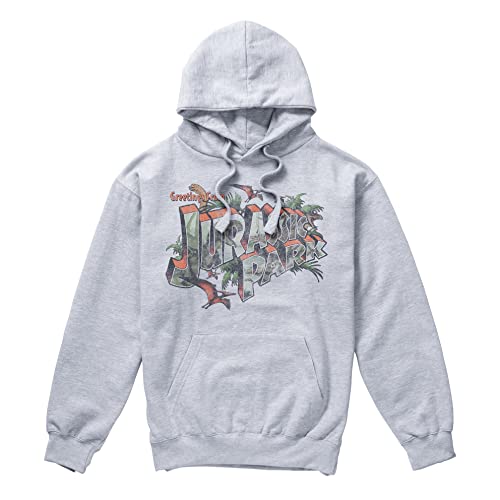 Cotton Soul Jurassic Park Greetings Unisex Hoodie, Grey Heather, grey heather, L von Cotton Soul