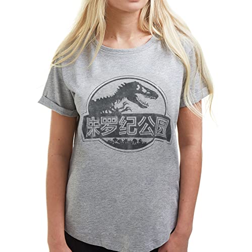 Cotton Soul Jurassic Park Mono Chinesisches Logo Damen Fashion T-Shirt, grau, Small von Cotton Soul