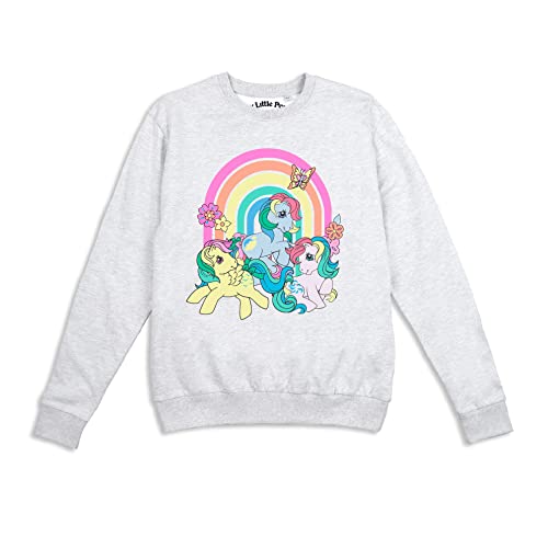 Cotton Soul My Little Pony Rainbow Pony Group Damen Crew Sweatshirt, Grau meliert, Grey Heather, 42 von Cotton Soul