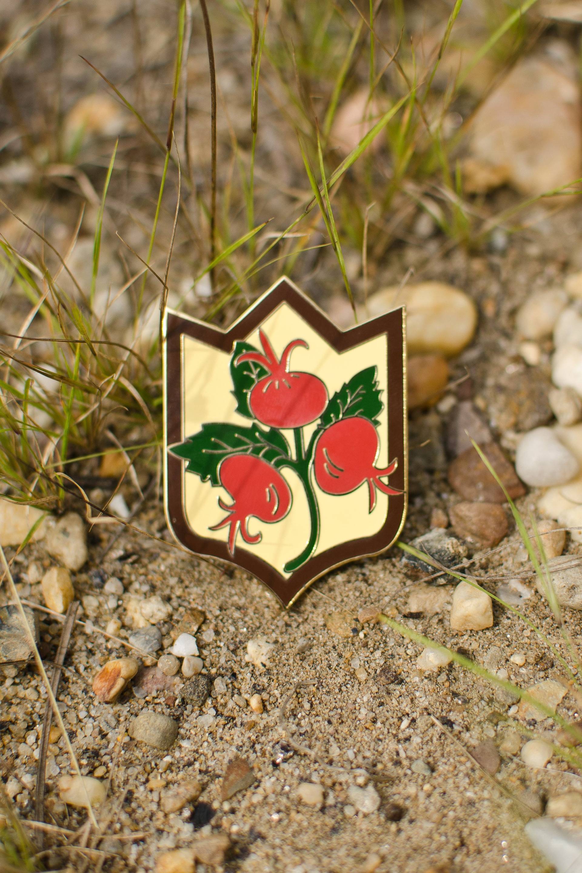 Rosehips Brosche - Forager Emaille Pins von Cottonbook