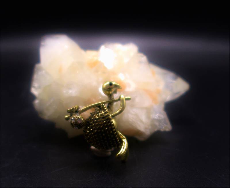 Brosche in Form Einer Schildkröte Aus Bronzefarbenem Metall von CoutureDePillango