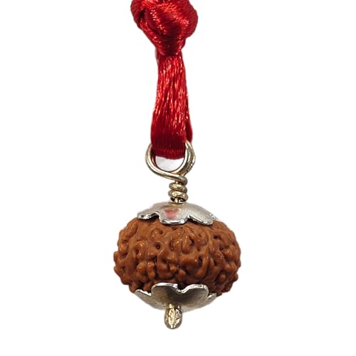 craftslook 7 Mukhi Rudraksha Anhänger - Zertifizierte Original Nepali Siebengesichter Rudraksha Perle für Männer & Frauen - Spirituelle Heilung & Wohlstand Halskette - Handgefertigt mit von Craftslook